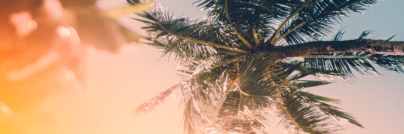 Summer Collection